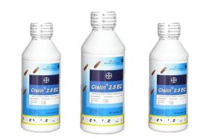 Thuốc phòng mối Cislin 2.5EC